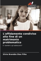 L'affidamento condiviso alla fine di un matrimonio problematico (Italian Edition) 6207693922 Book Cover