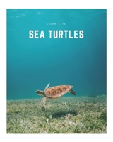 Sea Turtles: A Decorative Book ¦ Perfect for Stacking on Coffee Tables & Bookshelves ¦ Customized Interior Design & Home Decor (Ocean Life Book Series) B0848QHLL3 Book Cover