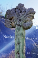 Needles Arizona B0FCPCLKGN Book Cover