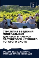 СТРАТЕГИЯ ВВЕДЕНИЯ МИНЕ& 6203677086 Book Cover