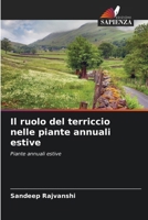 Il ruolo del terriccio nelle piante annuali estive (Italian Edition) 6209152430 Book Cover