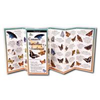 Common Butterflies of the Southwest 1621262308 Book Cover