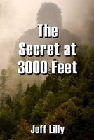 The Secret at 3000 Feet B0BZF9GJ55 Book Cover