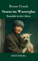 Sturm im Wasserglas: Komödie in drei Akten (German Edition) 3743752131 Book Cover