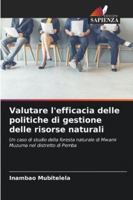 Valutare l'efficacia delle politiche di gestione delle risorse naturali 6209362346 Book Cover
