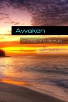 Awaken: A Stormverse Chronicle 1490588191 Book Cover