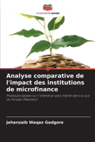 Analyse comparative de l'impact des institutions de microfinance (French Edition) 6208566185 Book Cover