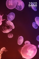 A5 2020 Diary Week To View Paperback Cover With Alternative Design: Pink Jellyfish Marine Life Under The Sea 2020 Diary Cover, Year Planner For Business, Office, Home, University, College, School, App 1692758578 Book Cover