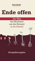 Ende offen - Der Weg des Menschen aus der Steinzeit in die Zukunft: Kompaktausgabe 3347409833 Book Cover