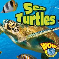 Sea Turtles 1605961078 Book Cover