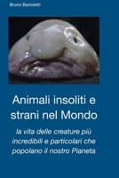 Animali insoliti e strani nel Mondo: la vita delle creature più incredibili e particolari che popolano il nostro Pianeta (Argomenti curiosi ed insoliti) (Italian Edition) B0BZFJSBNV Book Cover