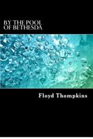 By the Pool of Bethesda 0615707661 Book Cover