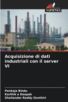 Acquisizione di dati industriali con il server VI (Italian Edition) 6208095697 Book Cover
