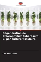 Régénération de Chlorophytum tuberosum L. par culture tissulaire (French Edition) 6209857833 Book Cover