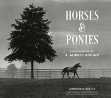 Horses and Ponies: Photography of A. Aubrey Bodine 0764373293 Book Cover