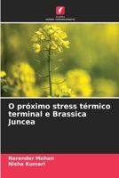 O próximo stress térmico terminal e Brassica Juncea (Portuguese Edition) 6208938163 Book Cover