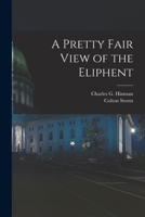 A Pretty Fair View of the Eliphent 1014260795 Book Cover