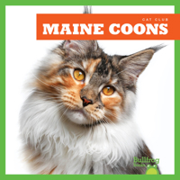 Maine Coons 1645274497 Book Cover