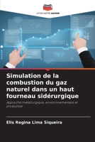 Simulation de la combustion du gaz naturel dans un haut fourneau sidérurgique (French Edition) 6209009867 Book Cover