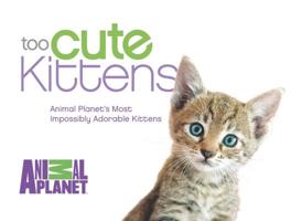 Too Cute Kittens: Animal Planet's Most Impossibly Adorable Kittens 037389287X Book Cover