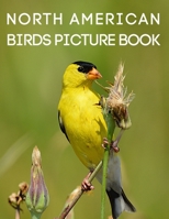 North American Birds Picture Book: A Book of Birds of North America with Pictures and Names B08WZHBM76 Book Cover