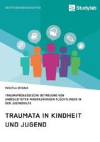 Traumata in Kindheit Und Jugend. Traumapadagogische Betreuung Von Unbegleiteten Minderjahrigen Fluchtlingen in Der Jugendhilfe 3960950519 Book Cover