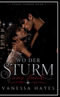 Wo der Sturm uns fand: zurückgewiesener Omega, ein beschützender Alpha, erzwungene Nähe Romance (Stark Terror book 1) (German Edition) B0H2D6XRTZ Book Cover