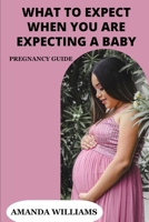 what to expect when you are expecting a baby: pregnancy guide B0CTYX389Q Book Cover