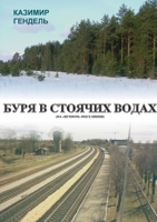 БУРЯ В СТОЯЧИХ ВОДАХ 0244392838 Book Cover