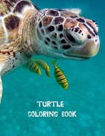 Turtle coloring book: Coloring Toy Gifts for Toddlers, Kids or Adult Relaxation Cute Easy and Relaxing Realistic Large Print Birthday Gifts 1704129745 Book Cover