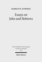 Essays on John and Hebrews 3161503198 Book Cover