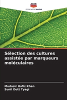 Sélection des cultures assistée par marqueurs moléculaires (French Edition) 6208574927 Book Cover