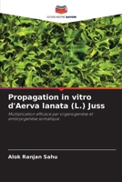 Propagation in vitro d'Aerva lanata (L.) Juss (French Edition) 6207046897 Book Cover