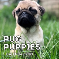 Pug Puppies Calendar 2021: 16-Month Calendar, Cute Gift Idea For Pug Lovers Men & Women B094TKTJ9Q Book Cover