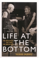 Life at the Bottom: The Worldview That Makes the Underclass 1566635055 Book Cover