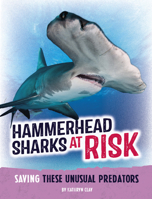 Hammerhead Sharks at Risk: Saving These Unusual Predators (Animals at Risk) B0DWDSKY1N Book Cover
