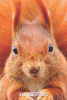 Kalender 2020: Eichhörnchen A5 Kalender Planer für ein erfolgreiches Jahr - 110 Seiten (German Edition) 1672024633 Book Cover