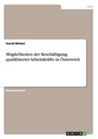 Möglichkeiten der Beschäftigung qualifizierter Arbeitskräfte in Österreich 3656357528 Book Cover