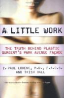 A Little Work: Behind the Doors of a Park Avenue Plastic Surgeon 0312315244 Book Cover