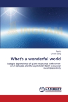 What's a wonderful world: isotopic dependence of giant resonance in the even-A Sn isotopes and the asymmetry term in nulcear incompressibility 3846506176 Book Cover