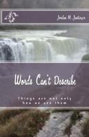 Words Can't Describe: Things are not only as we see them. Everyone has a unique experience for each and every moment. Diversity in thought and understanding create enlightened people. 1983981877 Book Cover