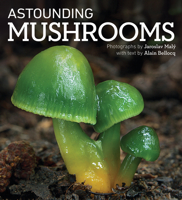 Astounding Mushrooms 022810386X Book Cover