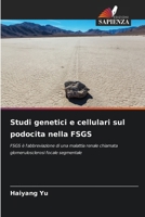Studi genetici e cellulari sul podocita nella FSGS (Italian Edition) 620937994X Book Cover