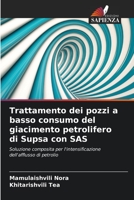 Trattamento dei pozzi a basso consumo del giacimento petrolifero di Supsa con SAS: Soluzione composita per l'intensificazione dell'afflusso di petrolio 6205887207 Book Cover