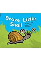 Rigby Flying Colors: Individual Student Edition Red Brave Little Snail 1418905372 Book Cover
