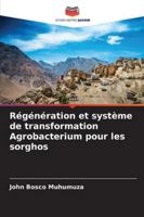 Régénération et système de transformation Agrobacterium pour les sorghos (French Edition) 6209356028 Book Cover
