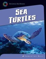 Sea Turtles 1624316026 Book Cover