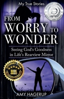 From Worry to Wonder: Seeing God's Goodness in Life's Rearview Mirror B0D8JXHQJJ Book Cover