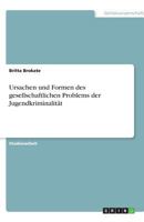 Ursachen und Formen des gesellschaftlichen Problems der Jugendkriminalität 3638768236 Book Cover