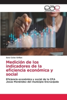 Medición de los indicadores de la eficiencia económica y social (Spanish Edition) 6200014647 Book Cover